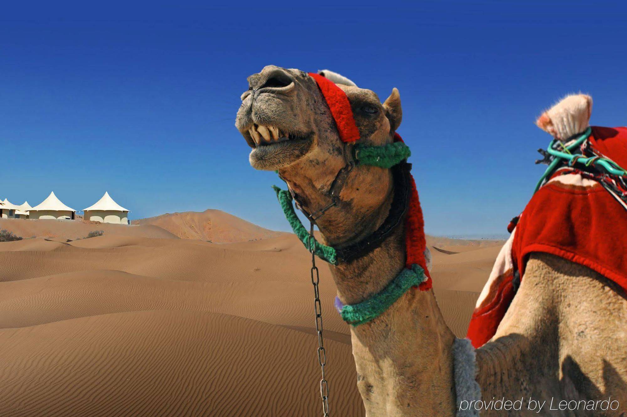 Dunes By Al Nahda Barka Bagian luar foto